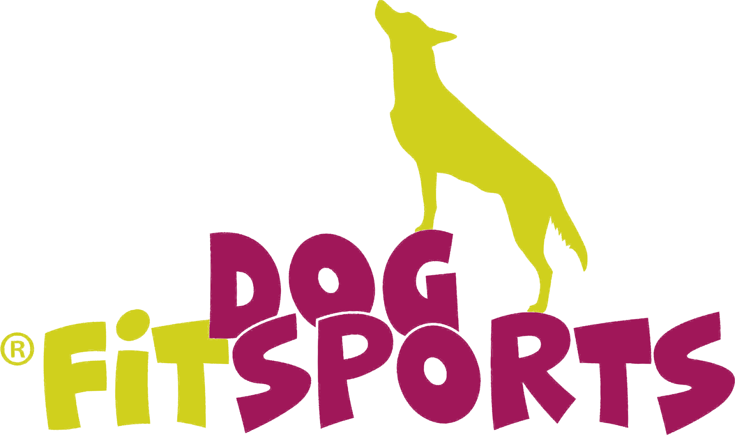 Dogfitsports - Ausbildungszentrum für Hundefitness